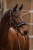239490_Application_image _3231078.jpg