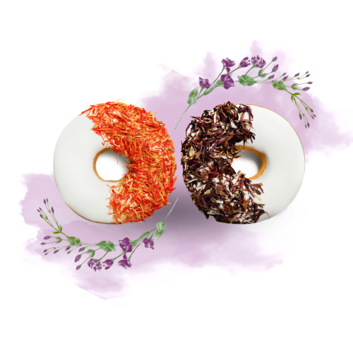 PACKSHOTS SPRING 225(12).png