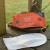 c-d-m-belvior-tack-cleaner-mitts-rekawiczki-do-c.jpg