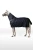 HXQA0_594_01.webp