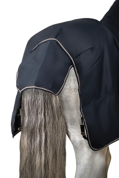 HXQA0_594_03.webp