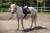 15555_9100_moodpictures_1.jpg