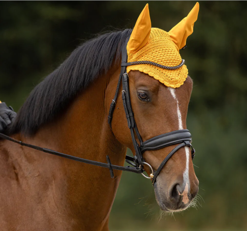nauszniki_dla_konia_żółte_QHP_Florence.PNG