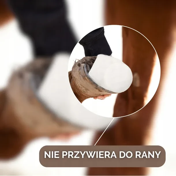 Animalintex-na-kopyta.webp