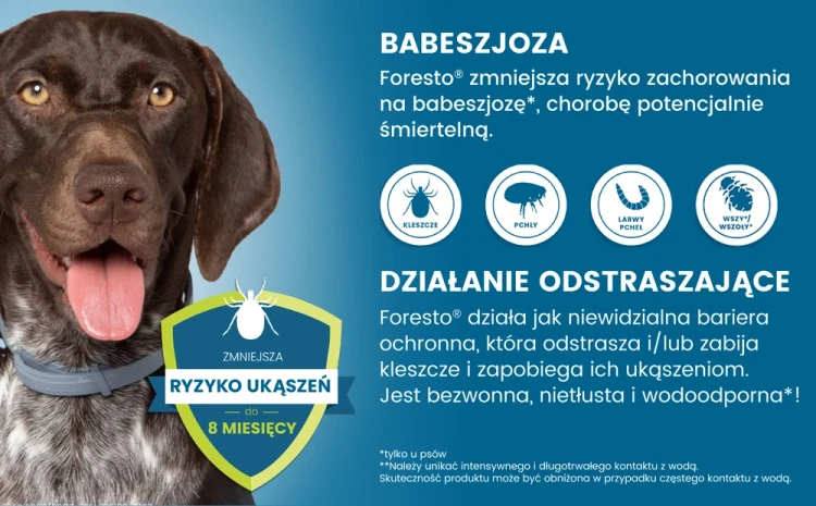 ELANCO-Foresto-Obroza-dla-psow-powyzej-8kg-2.webp