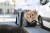 181478_mood_80567_23_04bc.jpg