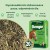 Healthy Tummy dla kogo_page-0001.jpg