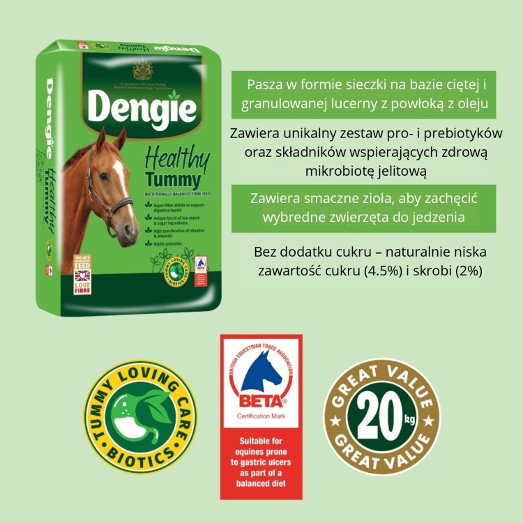 Healthy Tummy - cechy_page-0001.jpg