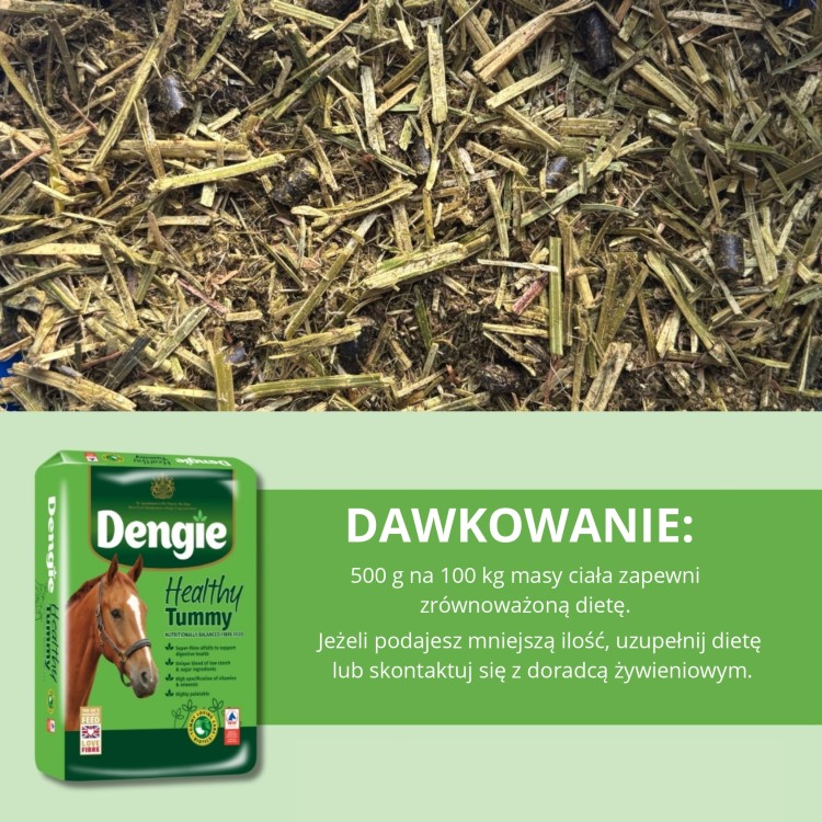 Dengie Healthy Tummy dawkowanie_page-0001.jpg