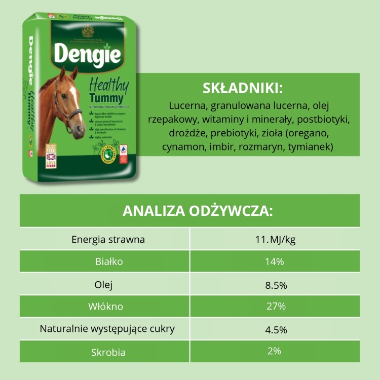 Healthy Tummy - analiza_page-0001.jpg