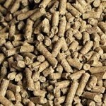 saracen-essential-balancer-20kg (2).jpg