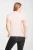 ENDA6_310_04.webp
