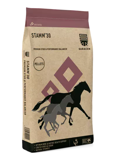 saracen-stamm-30-concentrate-20-kg-pasza-dla-koni-wyczynowych-i-hodowlanych-koncentrat.webp