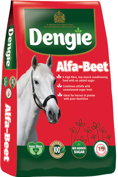 dengie-alfa-beet-20-kg-pasza-dla-koni-zawierajaca-wyslodki.webp