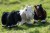 14381_9100_moodpictures_1_65357.jpg