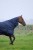 400767063_ambi_2_web.jpg