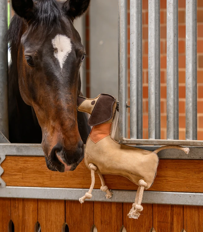 386905_11.jpg