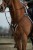 13622_2400_moodpictures_1_68347.jpg