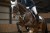 13622_2400_moodpictures_2_68348.jpg