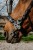 301904302_ambi_3_web.jpg