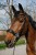 301904302_ambi_2_web.jpg