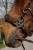 301904218_ambi_4_web.jpg