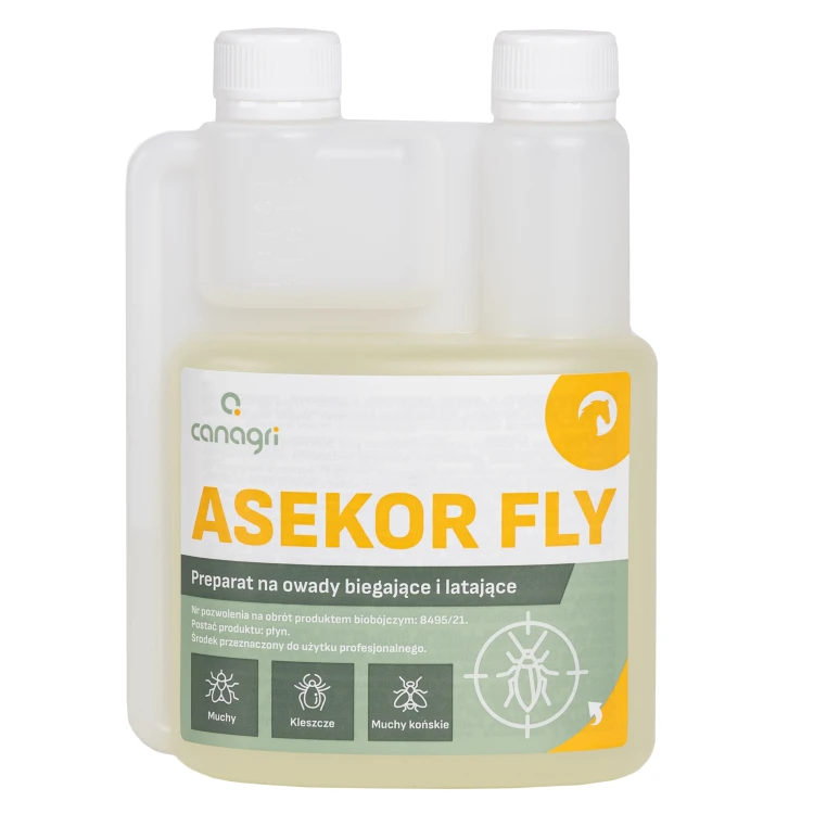 Asekor_fly__2_z_9__85f9.jpg