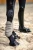 esk_0026_kam_514034_863_230.webp