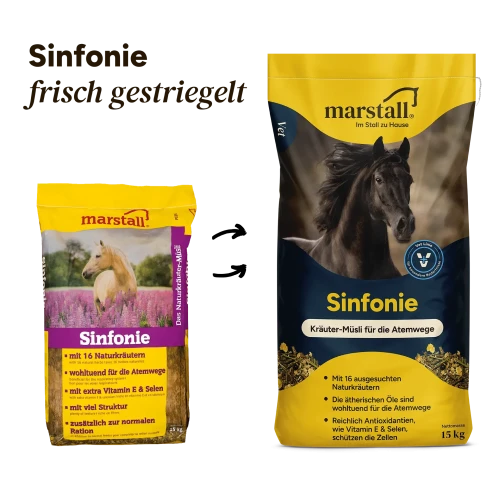 Marstall-Sinfonie-15kg---VET-LINE---musli-dla-koni-z-RAO-i-na-odpornosc (1).webp