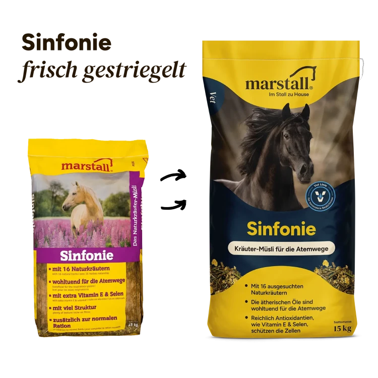 Marstall-Sinfonie-15kg---VET-LINE---musli-dla-koni-z-RAO-i-na-odpornosc (1).webp