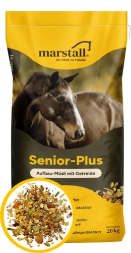 Senior-Plus.webp