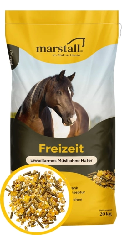 Freizeit.webp