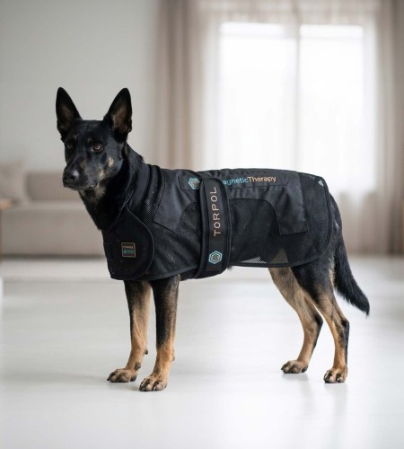 Magnetic_Dog_Rug_black-2.jpg