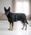 Magnetic_Dog_Rug_black-2.jpg