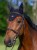 TH15HFLY928-004_02.jpg