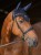 TH15HFLY928-004_01.jpg