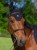 TH15HFLY928-004_03.jpg