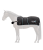 389001-L_15.png