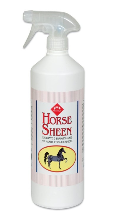 horse sheen.jpg