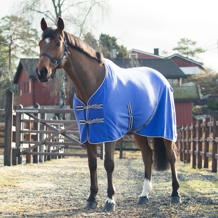 horze spirit 6.jpg