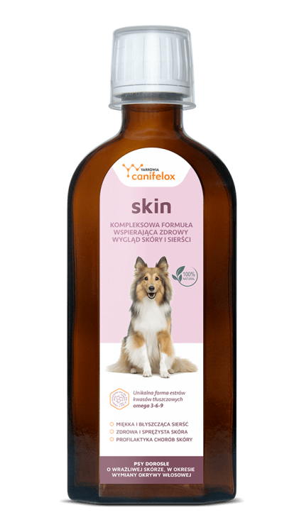 sk_skin_dog.png