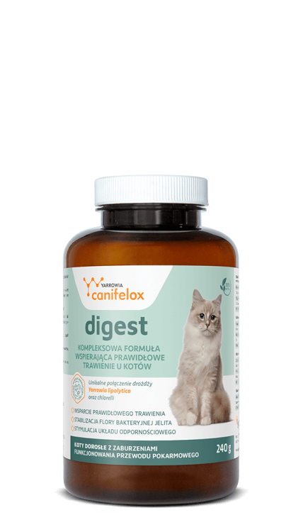 sk_digest_cat.png
