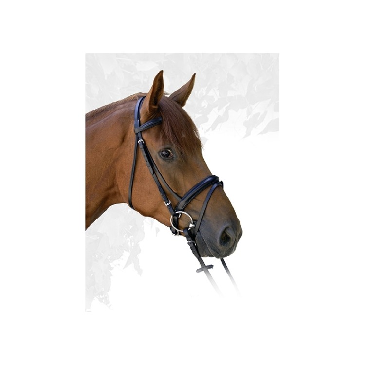 oglowie-cheval-fair-play (2).jpg