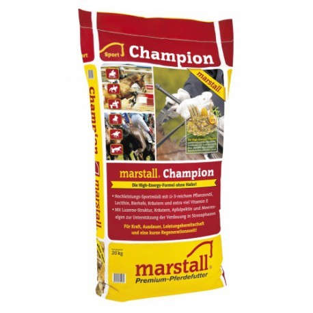 champion.jpg