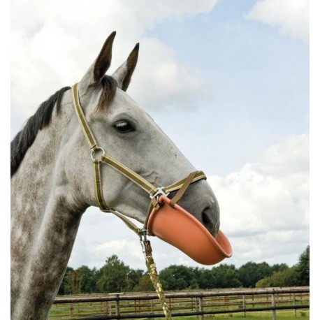 kaganiec dla konia pol.jpg