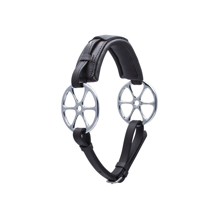 hackamore flower.jpg