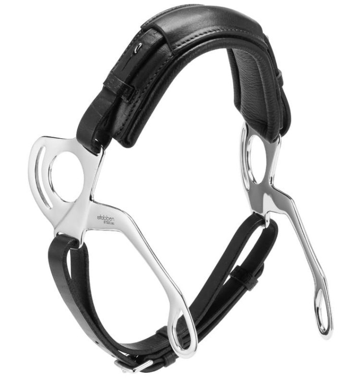 hackamore stibben.jpg