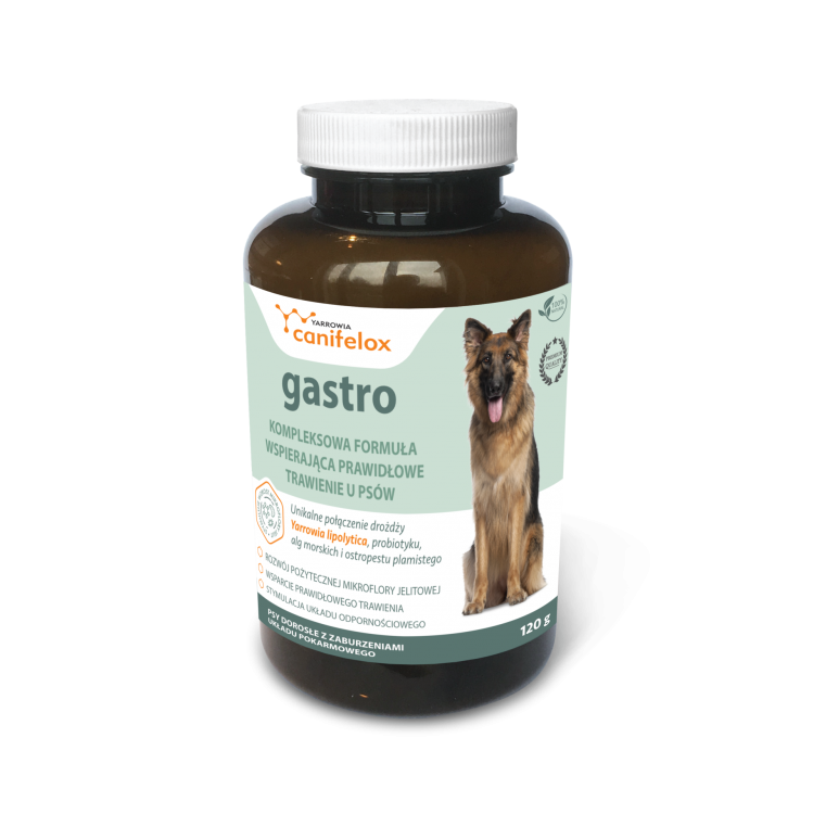 gastro_dog_pl.png