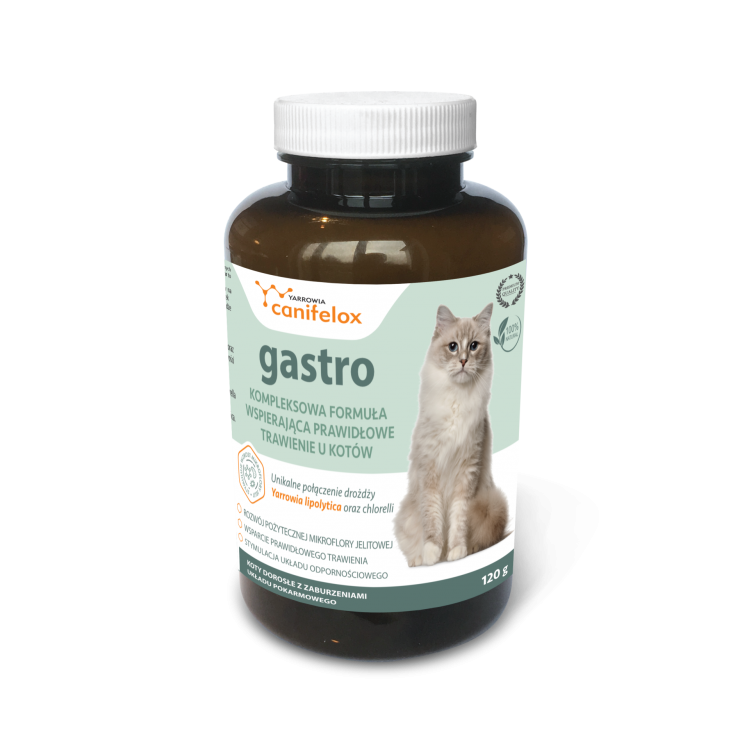 gastro_cat_pl.png