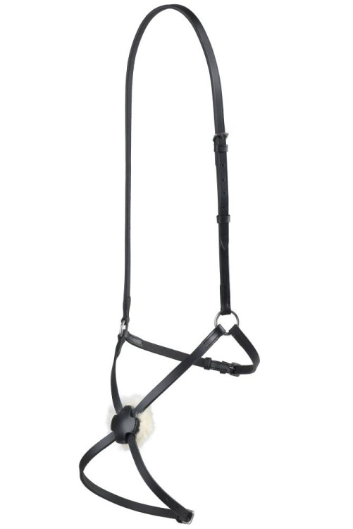 nachrapnik meksykański Start1806.jpg